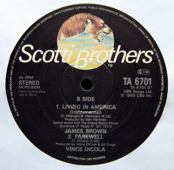 Living In America (R 'n' B Extended Mix)